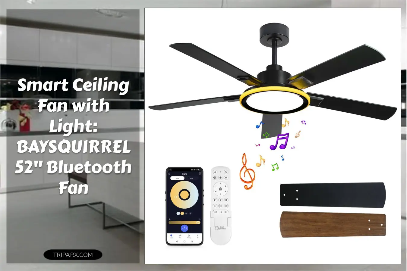 BAYSQUIRREL_Smart_52_Inch_Ceiling_Fans_with_Lights_Bluetooth_Ceiling_Fan_with_Speaker_6_Speeds_DC_Reversible_Noiseless_Motor_Full_Spectrum_Eye_Care_Flush_Mount_Ceiling_Fan_with_Light