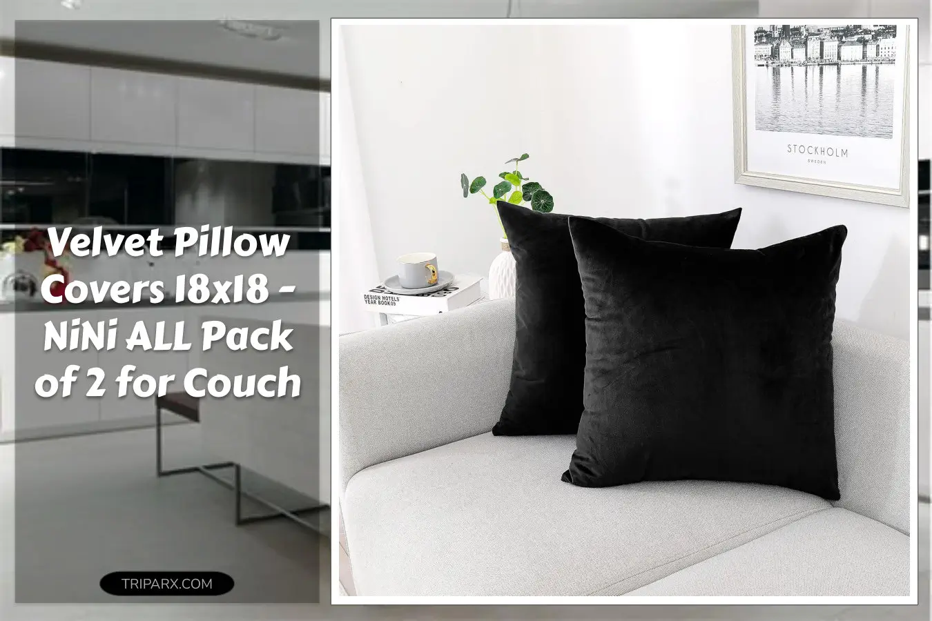NiNi_ALL_Decorative_Throw_Pillow_Covers_Pack_of_2_Velvet_Throw_Pillow_Cases_for_Couch_Pillows_Cover_Bedroom_Living_Room_Outdoor_Pillow_Covers_18x18_Inch_Black