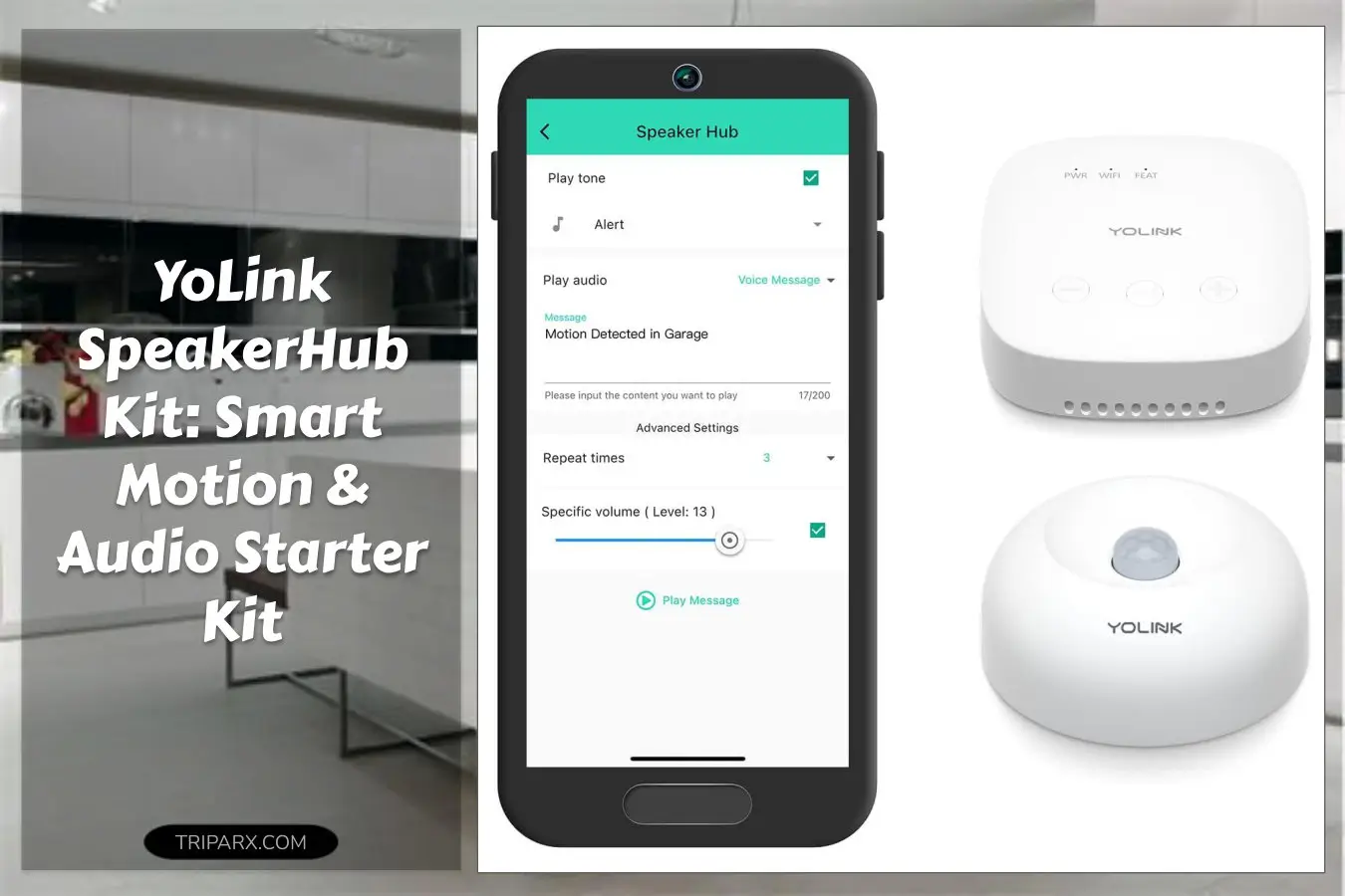YoLink_SpeakerHub_One_Motion_Sensor_Smart_Home_and_Security_Kit