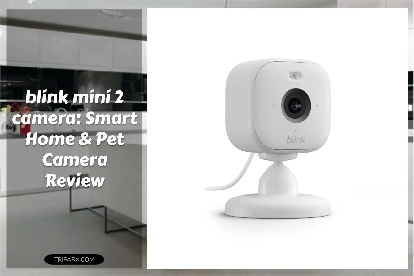blink_mini_2_home_security_pet_camera_hd_video_color_night_view_motion_detection_two_way_audio_built_in_spotlight_1_camera_white