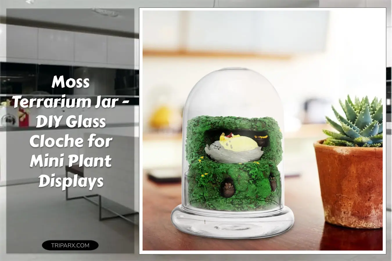 ecological_bottle_moss_terrarium_jar_diy_glass_cloche_for_miniature_plant_displays_home_decor_and_humidity_control
