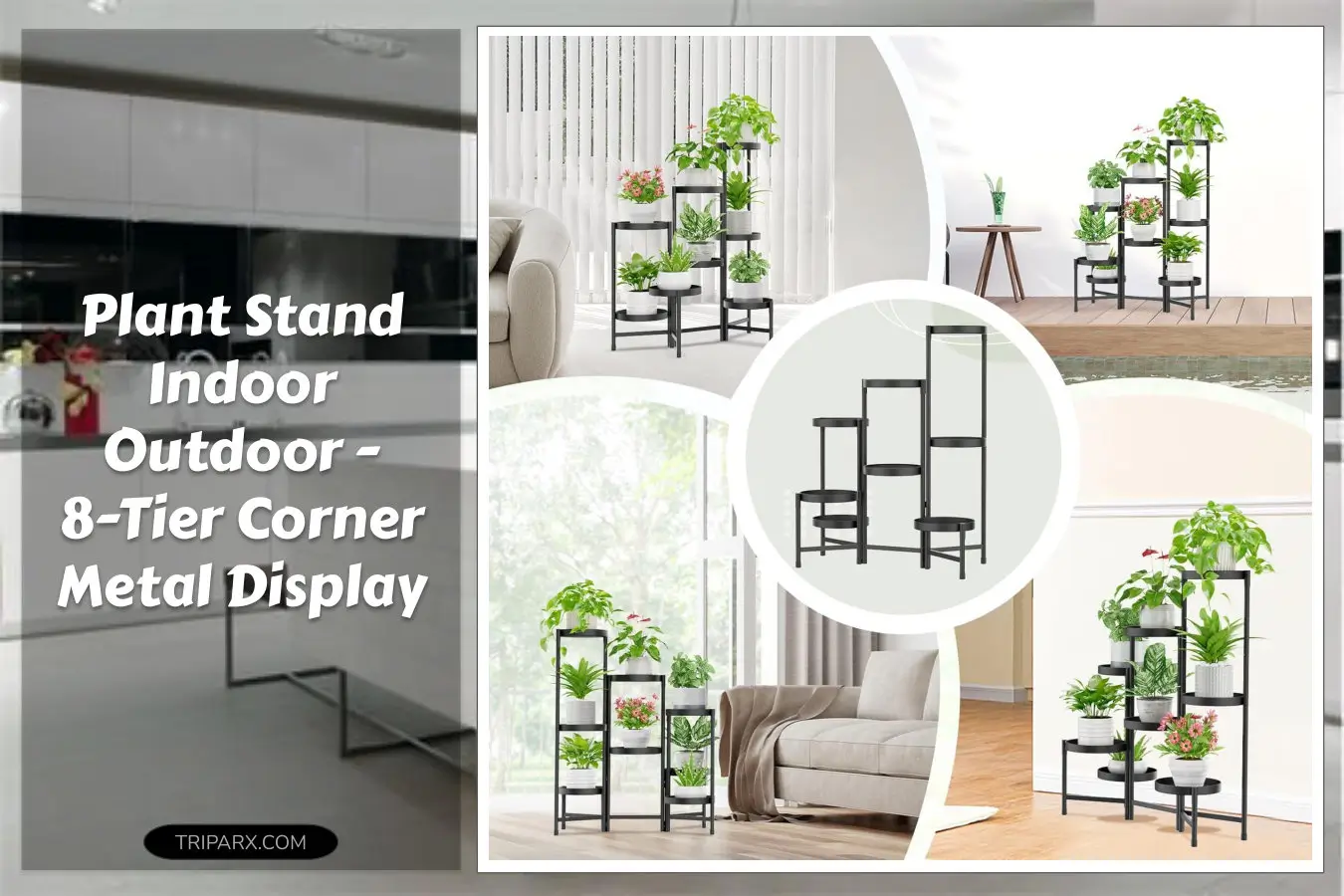 iDavosicly_Plant_Stand_Indoor_Outdoor_8_Tier_Corner_Metal_Flower_Display_Holder_Shelf_Folding_Tall_Orchid_Rack_Patio_Balcony_Porch_Garden_Living_Room_House_Black