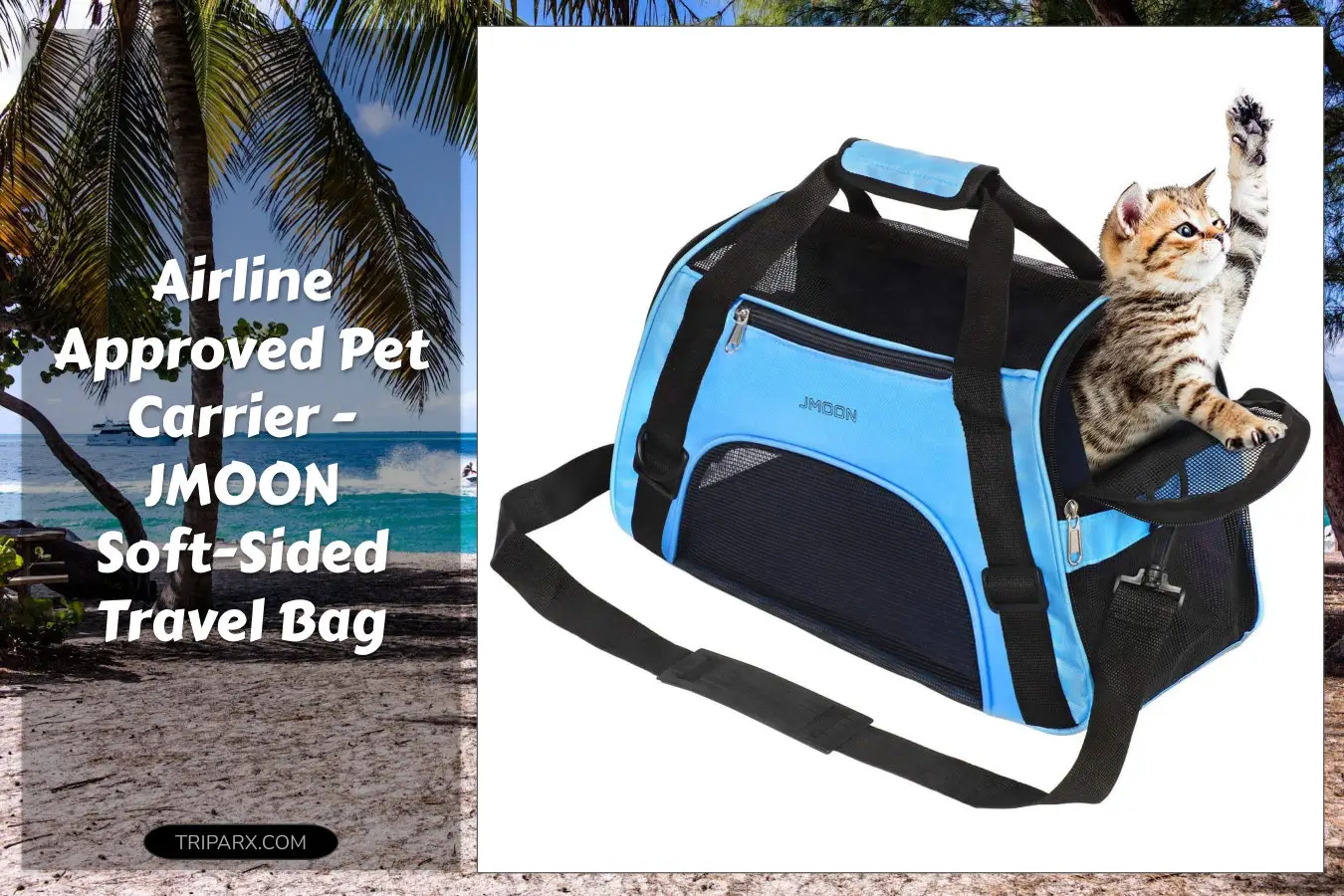 jmoon-soft-sided-pet-carrier-bag-airline-approved-for-cats-and-dogs-foldable-comfort-travel-carrier