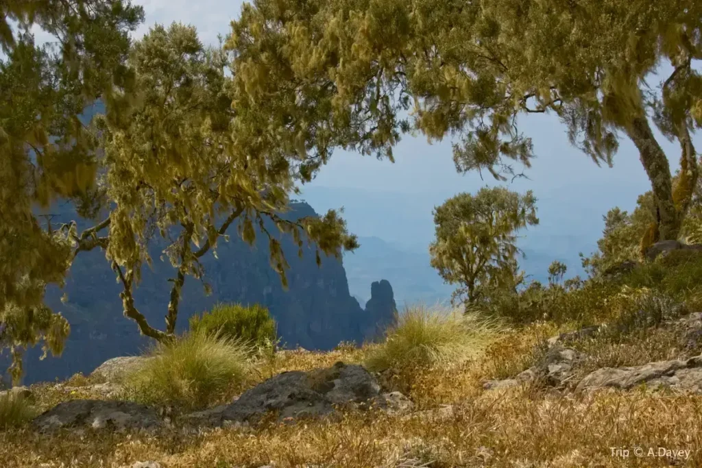 Day trek to Simien Mountain2
