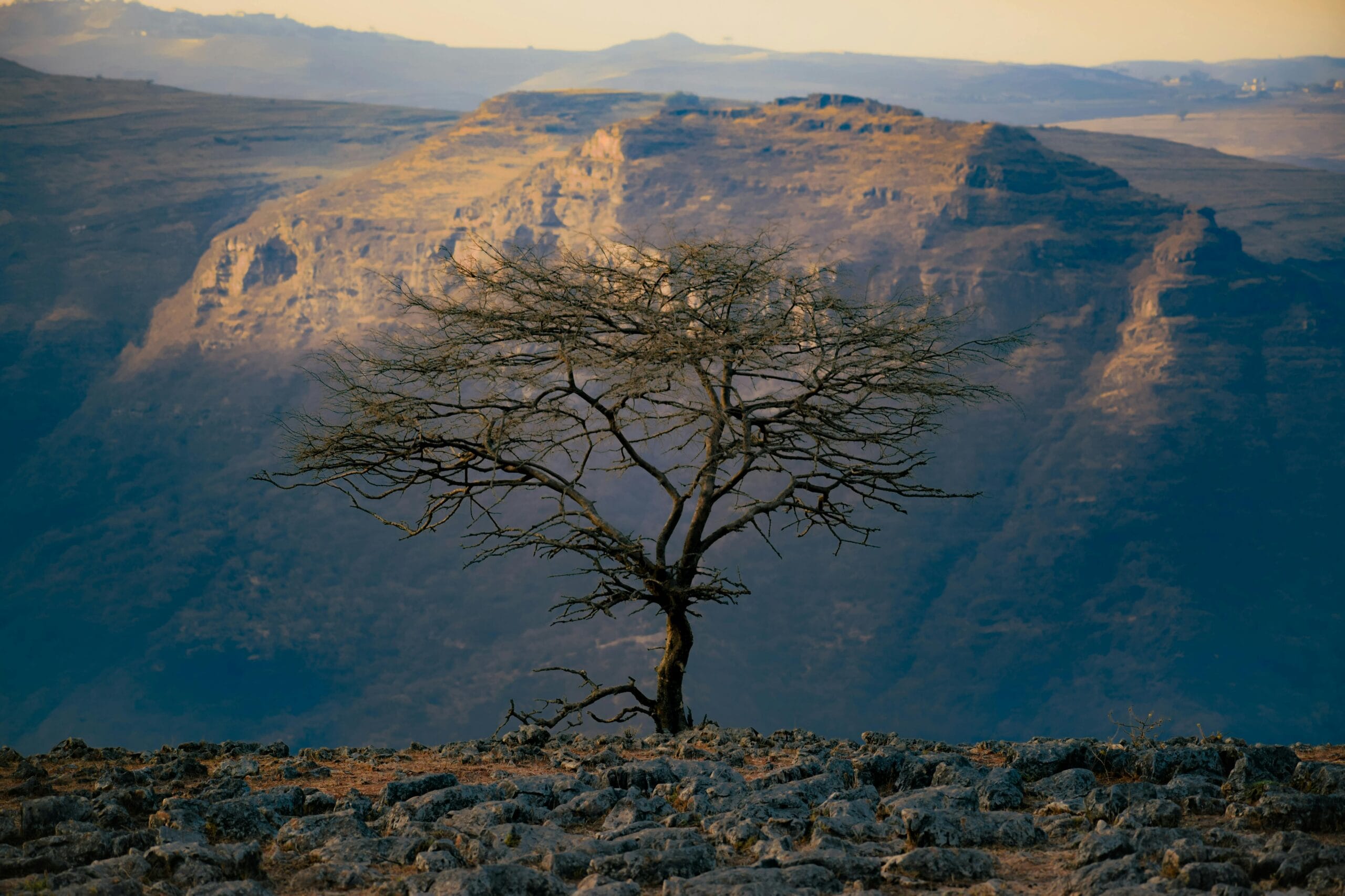 Panoramic cliffs in Ethiopia's Simien Mountains National Park at sunrise