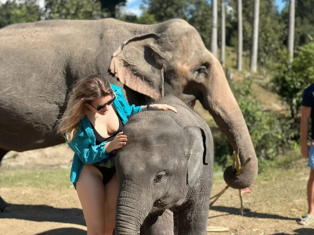 Chiang Mai Elephant Sanctuary