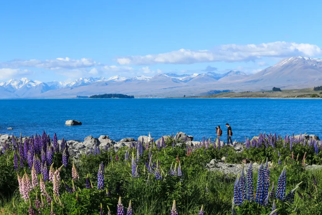 Lake Tekapo New Zealand